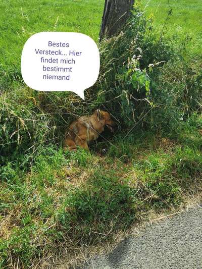 Fotochallenge No. 5-Beitrag-Bild