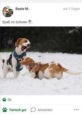 Challenge Nr. 15
Spiel im Schnee-Beitrag-Bild