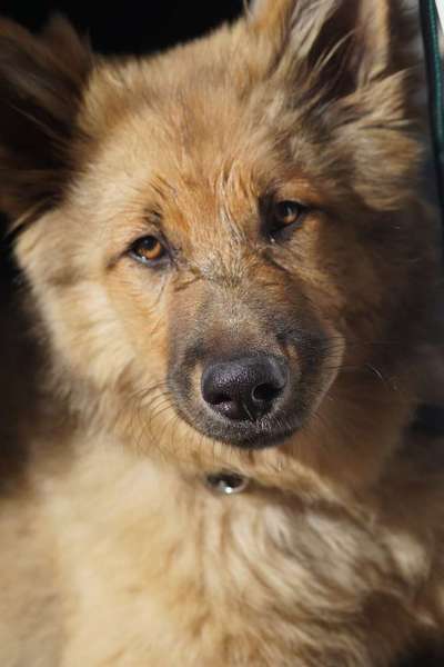 Foto Challenge 3-Beitrag-Bild