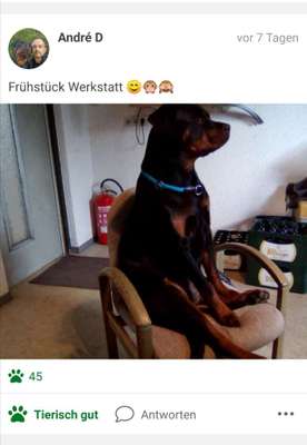 Challenge Nr 14
Eure Fellnasen auf ihrem Lieblingsplatz-Beitrag-Bild