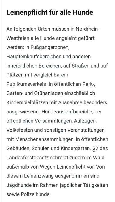 Aggressiver Hund ohne Leine-Beitrag-Bild