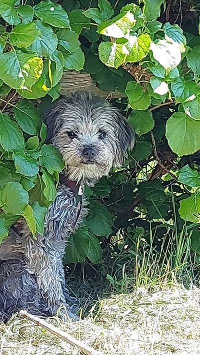 Fotowettbewerb Natur-Beitrag-Bild