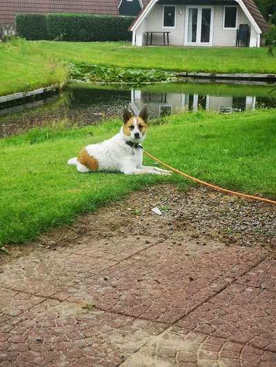 Dogorama Photo Challenge - Tierischer Urlaub-Beitrag-Bild