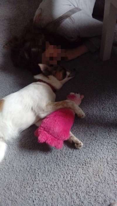 Fotochallange Nummer 5-Beitrag-Bild