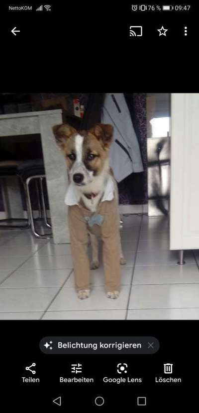 Sie werden so schnell erwachsen ...-Beitrag-Bild