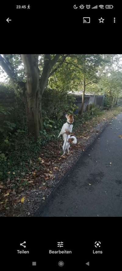 Fotochallange 84-Beitrag-Bild