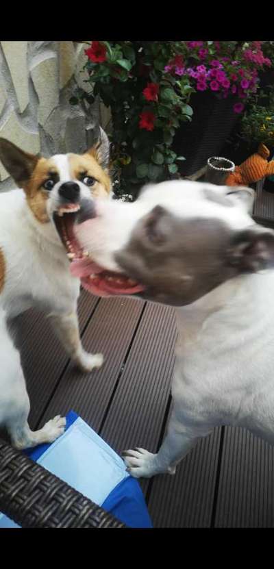 Spieltrieb ;)-Beitrag-Bild