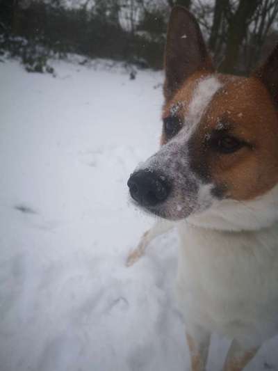 Moviestar-Pics!-Beitrag-Bild