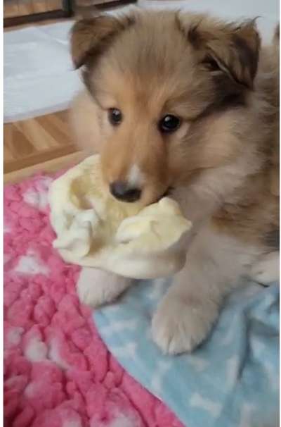 mailo, milow,meilo..-Beitrag-Bild