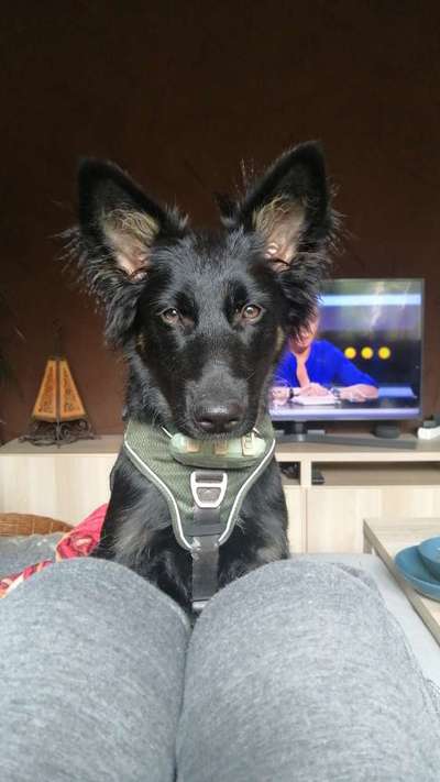 147. Foto Challenge: Bettelblick-Beitrag-Bild