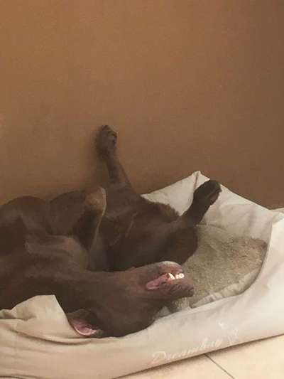 Schlafposition-Beitrag-Bild