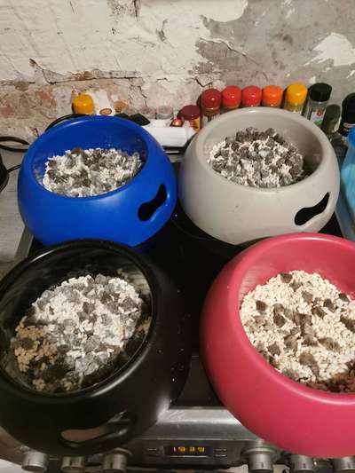 Zeigt eure Näpfe-Beitrag-Bild