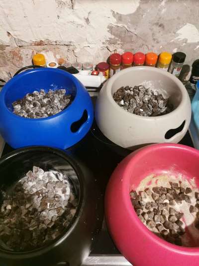 Zeigt eure Näpfe-Beitrag-Bild