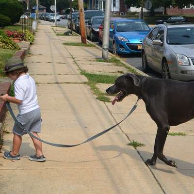 Was hat euch heute genervt?-Beitrag-Bild