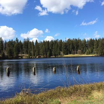 Empfohlene Wanderungen Harzer Gebirge-Beitrag-Bild