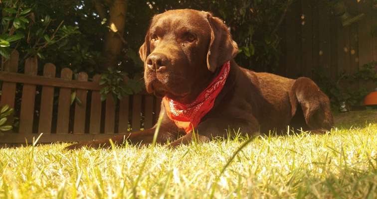 Fotochallenge Nr. 62 Romantische Momente-Beitrag-Bild