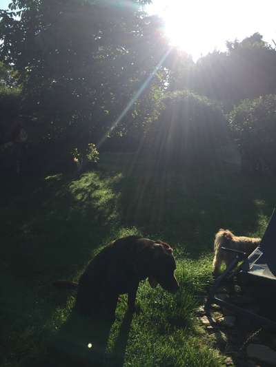 Fotochallenge Nr. 62 Romantische Momente-Beitrag-Bild