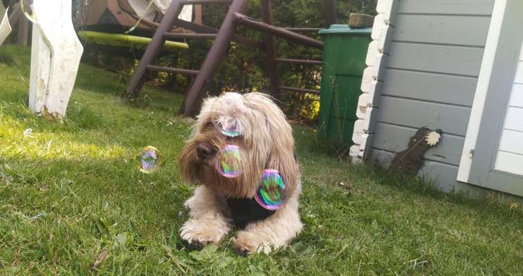 Fotochallenge Nr. 62 Romantische Momente-Beitrag-Bild