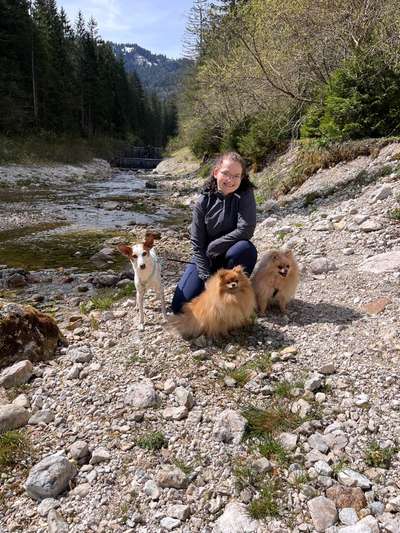 Hundetreffen-Kostenlose Hundetrainingsstunde-Bild