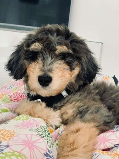 Fotochallange Nr. 57     PORTRÄT.   Beendet!!!!!!!!-Beitrag-Bild