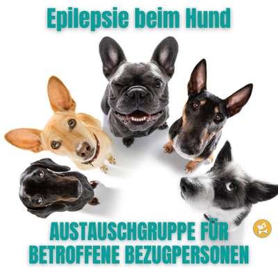 Giftköder-Zoom-Austauschgruppe Epilepsie beim Hund-Bild