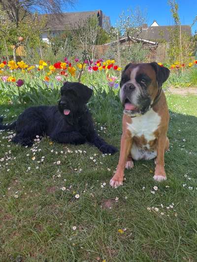 Fotochallenge 78

Es grünt und blüht-Beitrag-Bild