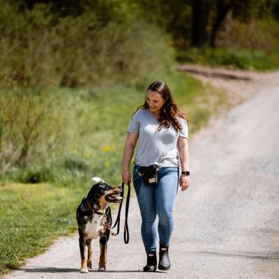 Hundeschulen-Abenteuer Hundetraining-Bild