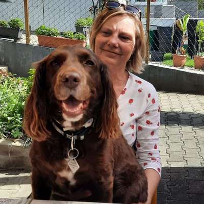 Hundetreffen-Immer wieder gerne-Bild