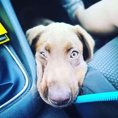 Lieblingsbild :D-Beitrag-Bild