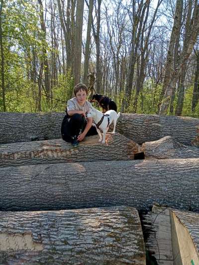Fotowettbewerb Natur-Beitrag-Bild