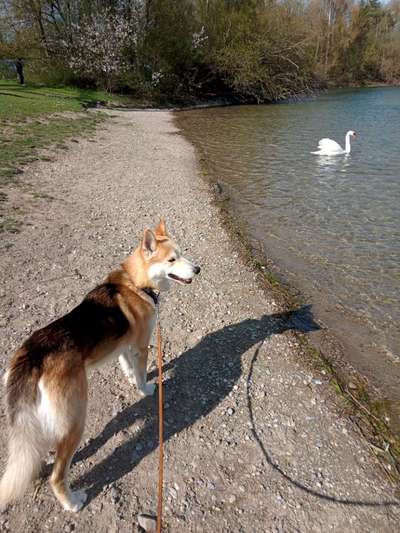 Fotowettbewerb Natur-Beitrag-Bild