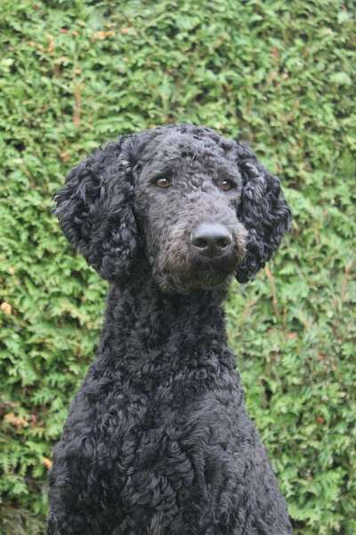 Austausch zur Fotografie-Beitrag-Bild