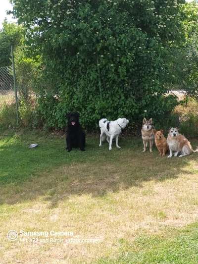 Handy-Foto-Challange Nr. 8-Beitrag-Bild