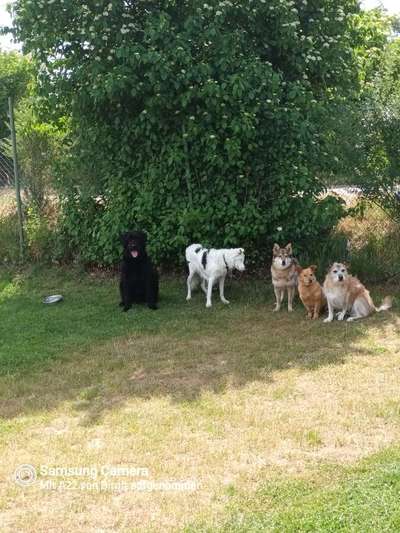 Handy-Foto-Challange Nr. 8-Beitrag-Bild