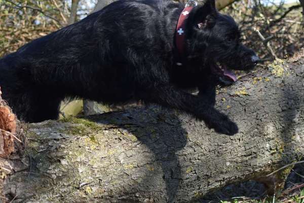 Theos Fotochallange Nummer 4-Beitrag-Bild