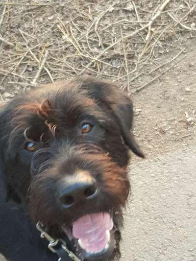 Handy-Foto Challange Nr. 10-Beitrag-Bild