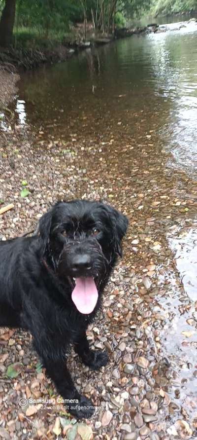 Tongue Out Tuesday-Beitrag-Bild