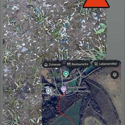 Giftköder-Rattengift Ebenberg-Bild