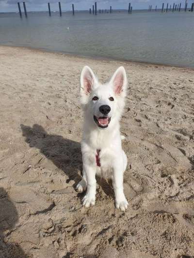 Zeigt eure Portraits-Beitrag-Bild