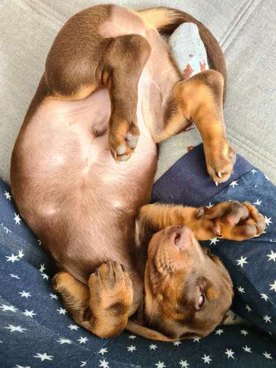 Handy-Foto Challange Nr. 10-Beitrag-Bild