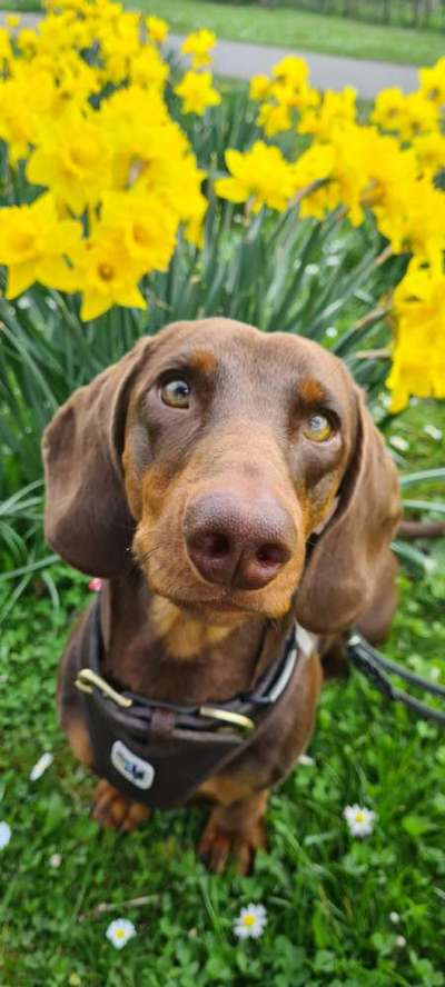 Fotochallenge 78

Es grünt und blüht-Beitrag-Bild