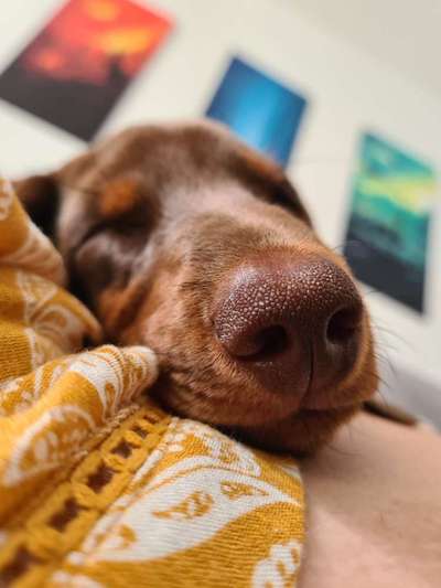 Ratespaß geht weiter-Beitrag-Bild