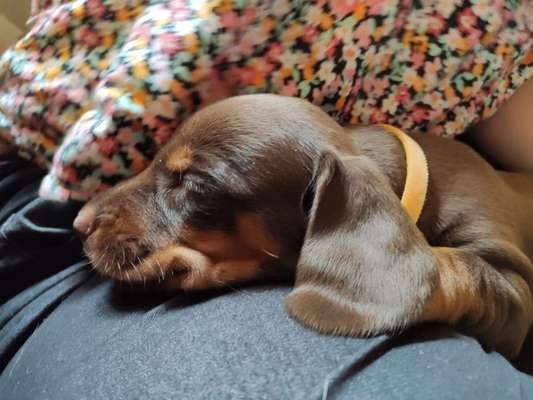 Erstes Bild-Beitrag-Bild