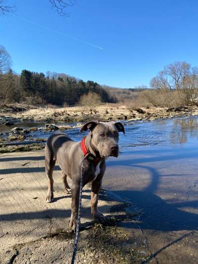 Dogorama Photo Challenge - Der Frühling kommt-Beitrag-Bild