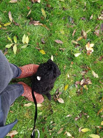 Fotochallange Nummer 5-Beitrag-Bild