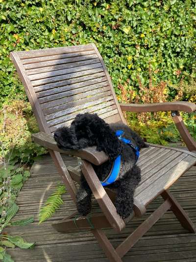 Foto Challenge 112 
ungewöhnliche Schlafplätze-Beitrag-Bild