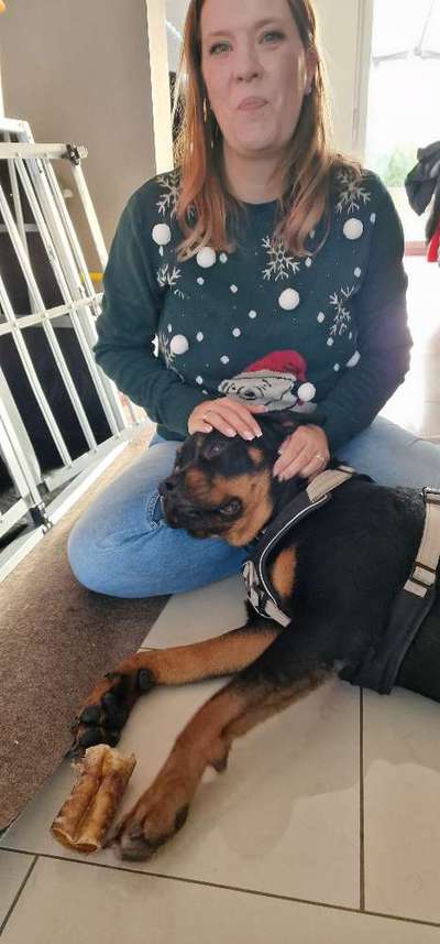 Seelenhunde-Beitrag-Bild