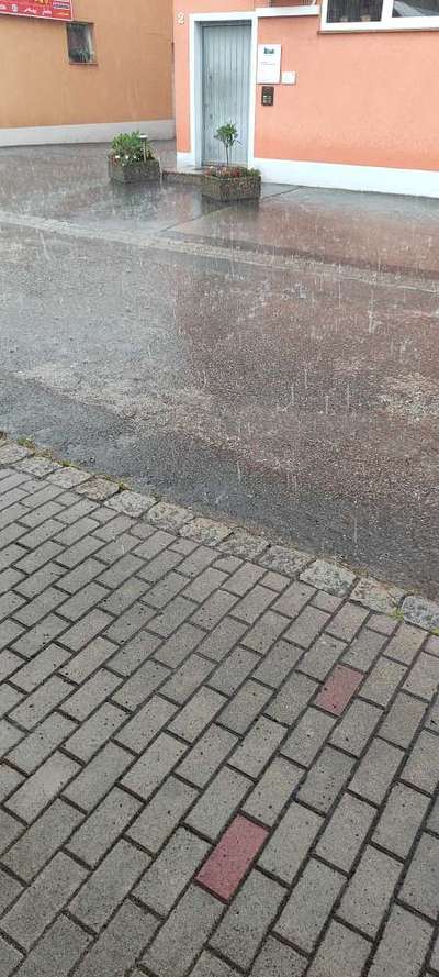 TierschutzhundeStammtisch🐕-Beitrag-Bild