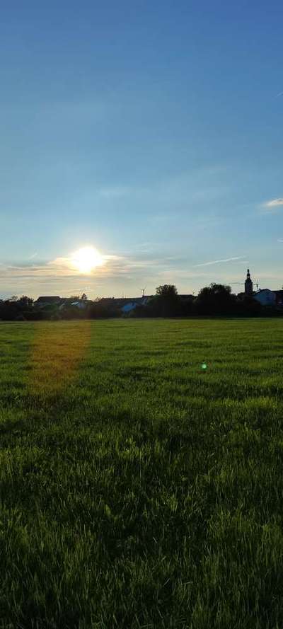 TierschutzhundeStammtisch🐕-Beitrag-Bild