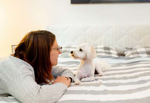 Gemeinsames Kuscheln im Bett!-Beitrag-Bild